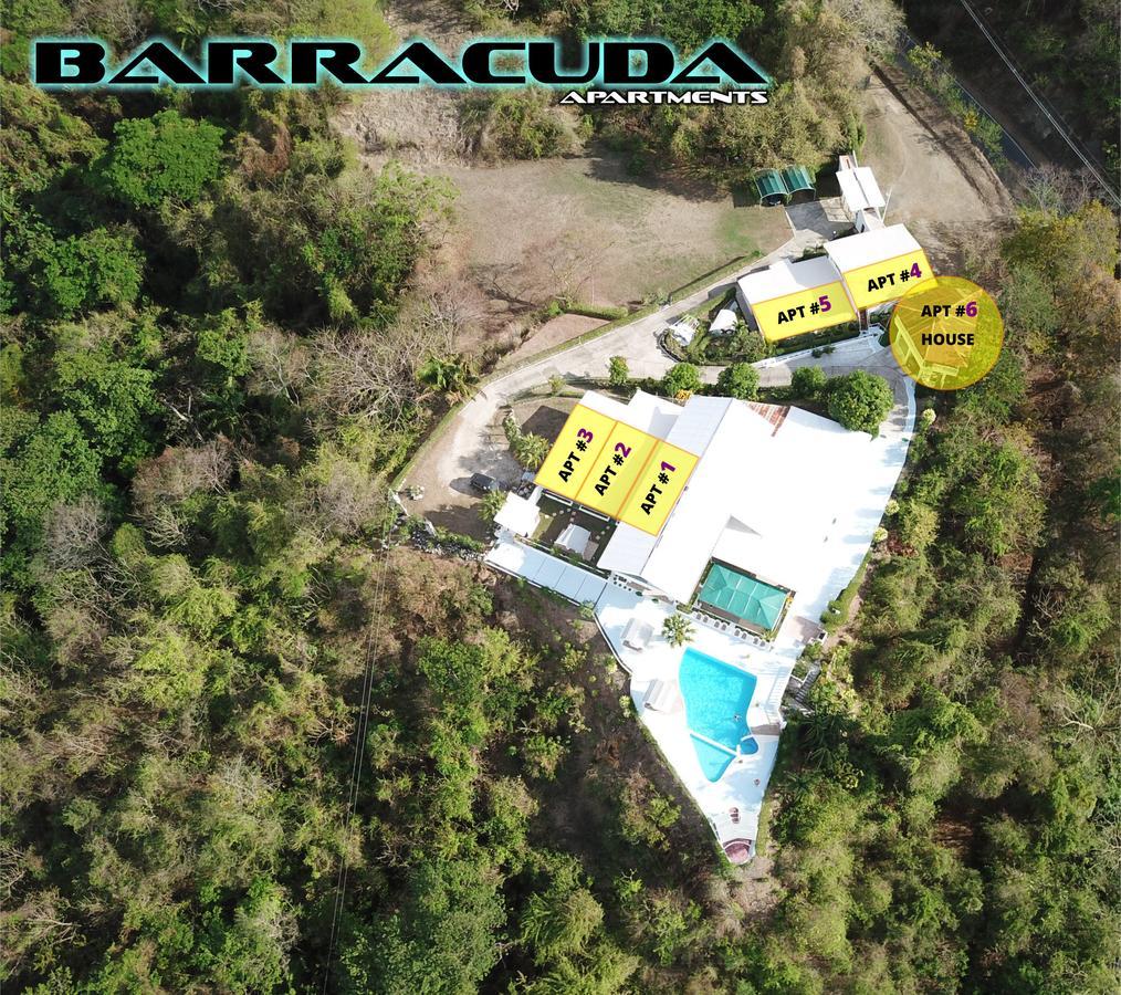 Barracuda Apartments Sámara Extérieur photo